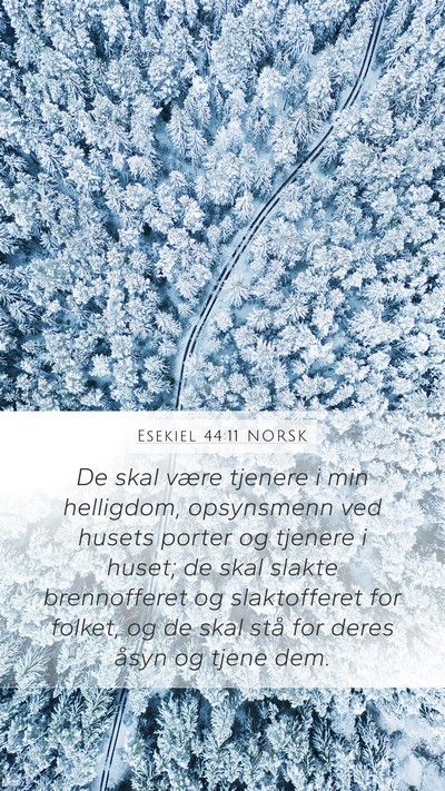 Esekiel 44:11 NORSK Bible Verse Image