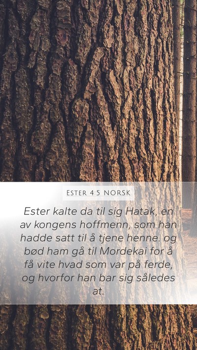 Ester 4:5 NORSK Mobile Phone Wallpaper - Ester kalte da til sig Hatak, en av kongens - Mobile Bible Verse Wallpaper