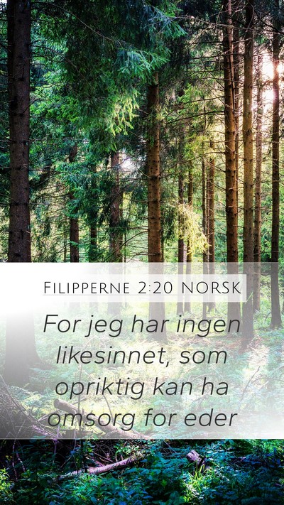 Filipperne 2:20 NORSK Bible Verse Image