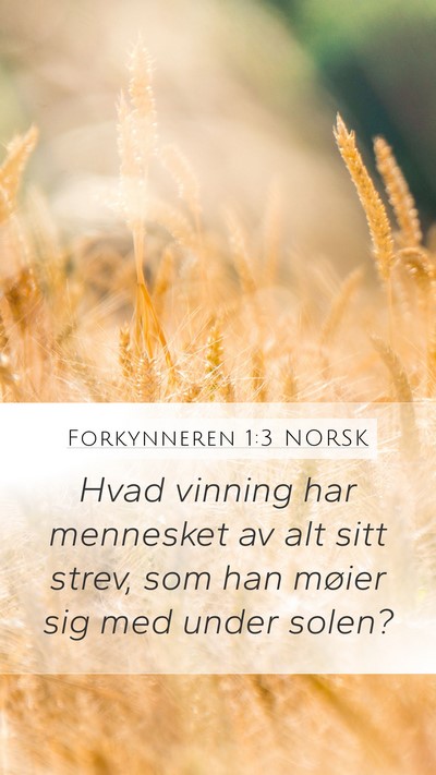 Forkynneren 1:3 NORSK Bible Verse Image