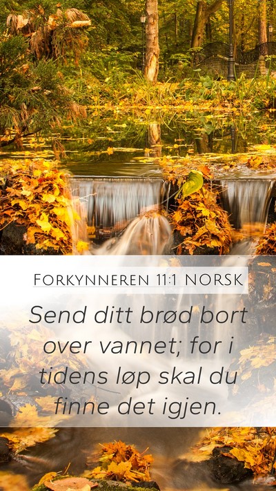 Forkynneren 11:1 NORSK Bible Verse Image