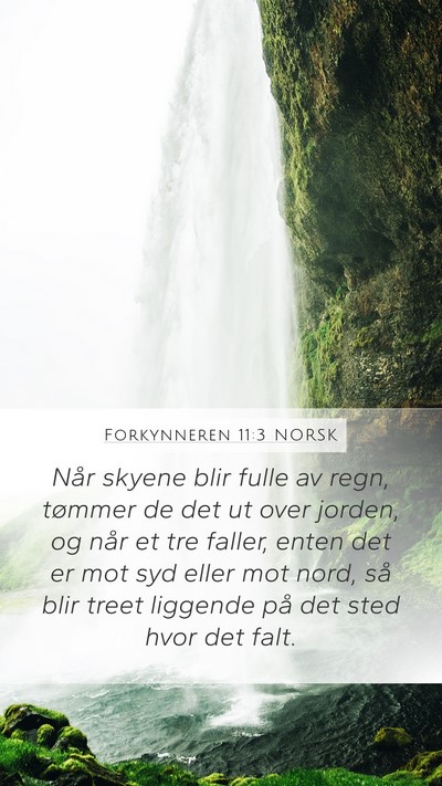 Forkynneren 11:3 NORSK Bible Verse Image