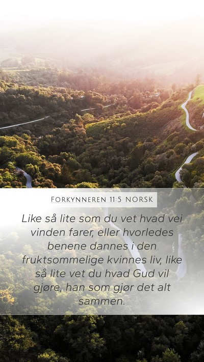 Forkynneren 11:5 NORSK Bible Verse Image