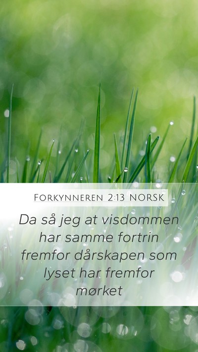 Forkynneren 2:13 NORSK Bible Verse Image