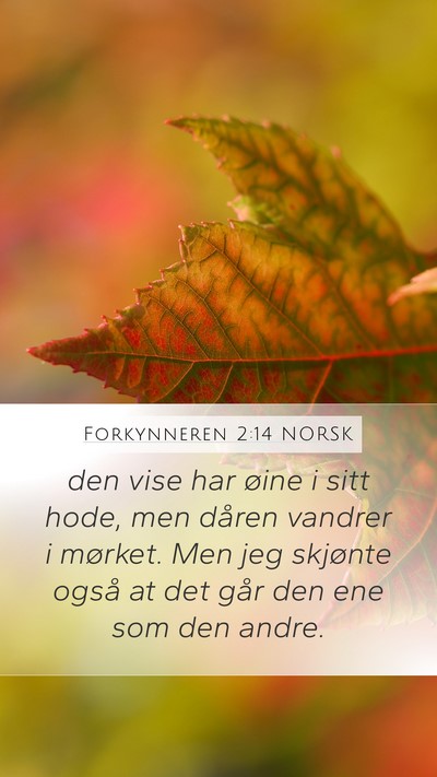 Forkynneren 2:14 NORSK Mobile Phone Wallpaper - den vise har øine i sitt hode, men dåren - Mobile Bible Verse Wallpaper