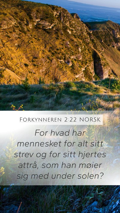 Forkynneren 2:22 NORSK Bible Verse Image