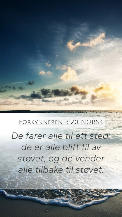 Forkynneren 3:20 NORSK Bible Verse Image