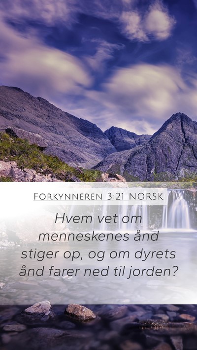 Forkynneren 3:21 NORSK Bible Verse Image
