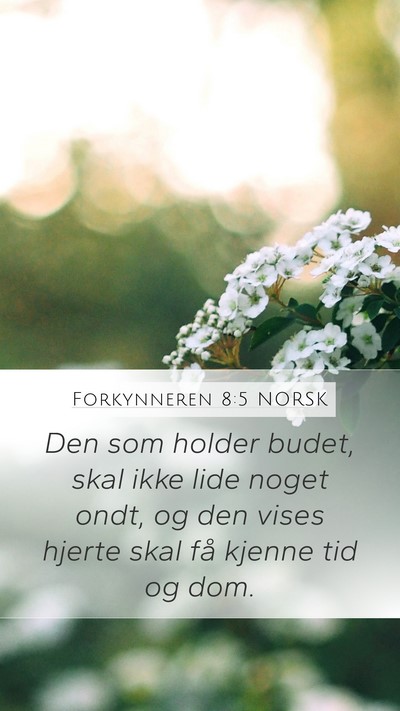 Forkynneren 8:5 NORSK Bible Verse Image