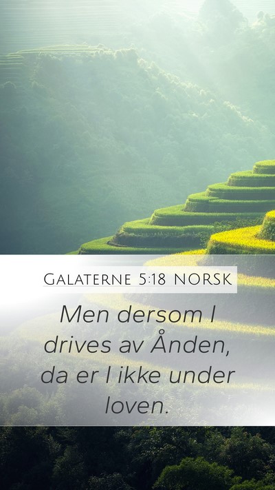 Galaterne 5:18 NORSK Bible Verse Image