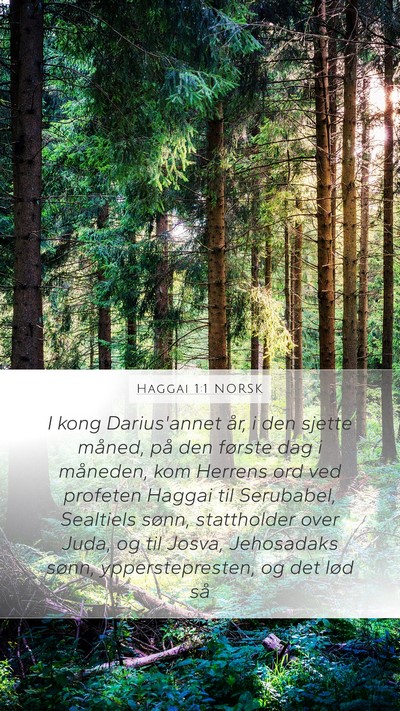 Haggai 1:1 NORSK Bible Verse Image