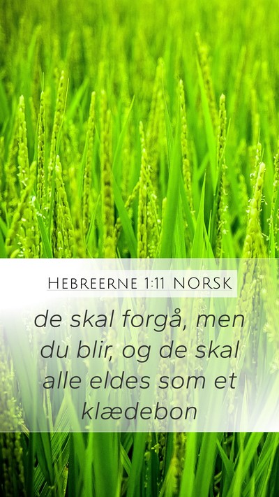 Hebreerne 1:11 NORSK Bible Verse Image