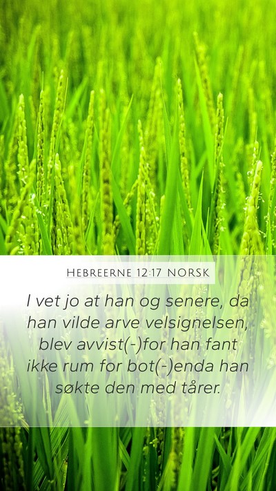 Hebreerne 12:17 NORSK Bible Verse Image