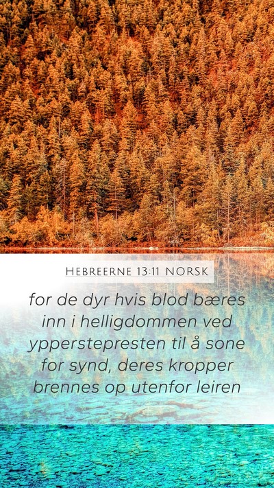 Hebreerne 13:11 NORSK Bible Verse Image