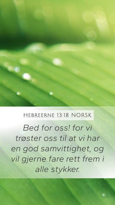 Hebreerne 13:18 NORSK Bible Verse Image