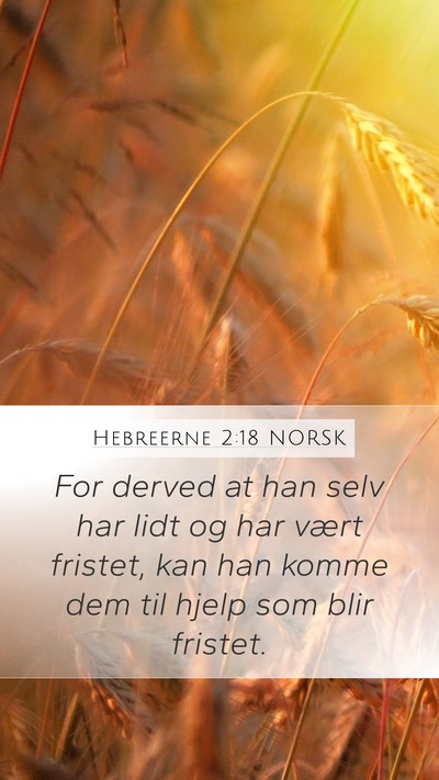 Hebreerne 2:18 NORSK Bible Verse Image