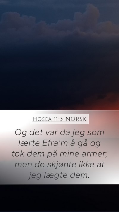 Hosea 11:3 NORSK Mobile Phone Wallpaper - Og det var da jeg som lærte Efra'm å gå og tok - Mobile Bible Verse Wallpaper