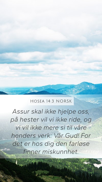 Hosea 14:3 NORSK Bible Verse Image