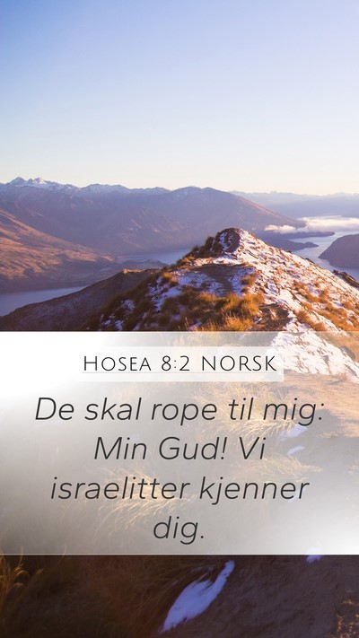 Hosea 8:2 NORSK Mobile Phone Wallpaper - De skal rope til mig: Min Gud! Vi israelitter - Mobile Bible Verse Wallpaper