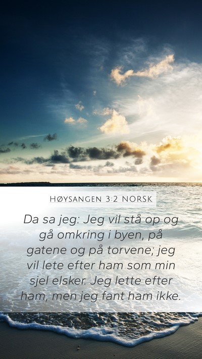 Høysangen 3:2 NORSK Mobile Phone Wallpaper - Da sa jeg: Jeg vil stå op og gå omkring i byen, - Mobile Bible Verse Wallpaper