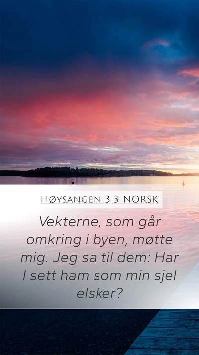 Høysangen 3:3 NORSK Mobile Phone Wallpaper - Vekterne, som går omkring i byen, møtte mig. - Mobile Bible Verse Wallpaper