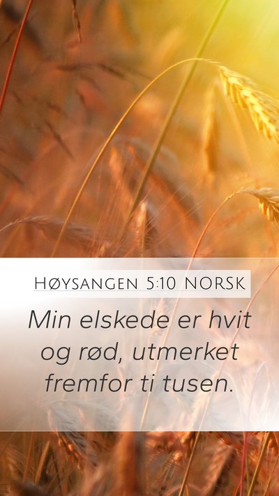 Høysangen 5:10 NORSK Bible Verse Image