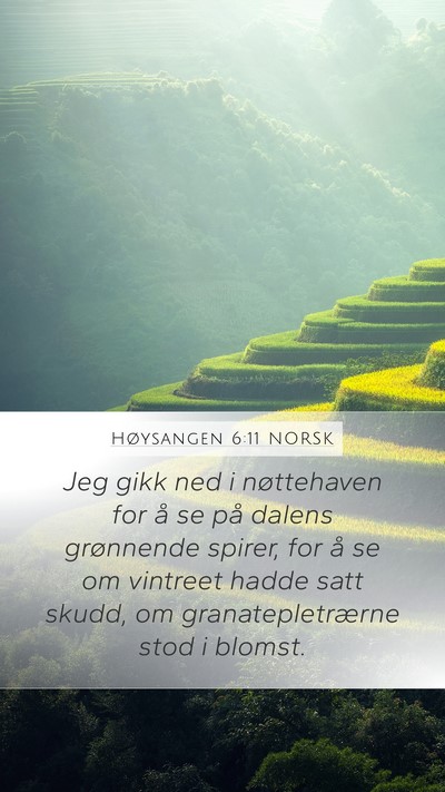 Høysangen 6:11 NORSK Bible Verse Image