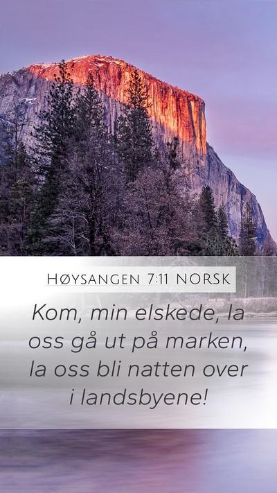 Høysangen 7:11 NORSK Mobile Phone Wallpaper - Kom, min elskede, la oss gå ut på marken, la - Mobile Bible Verse Wallpaper
