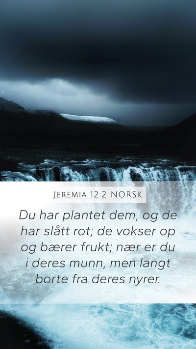 Jeremia 12:2 NORSK Mobile Phone Wallpaper - Du har plantet dem, og de har slått rot; de - Mobile Bible Verse Wallpaper