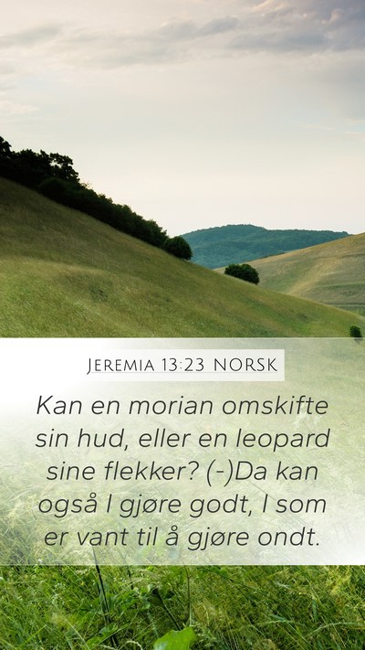 Jeremia 13:23 NORSK Bible Verse Image