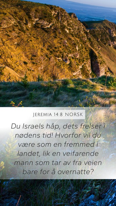 Jeremia 14:8 NORSK Bible Verse Image