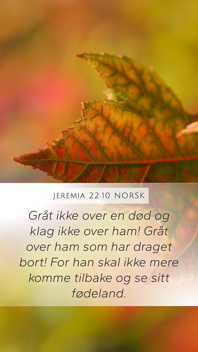 Jeremia 22:10 NORSK Bible Verse Image