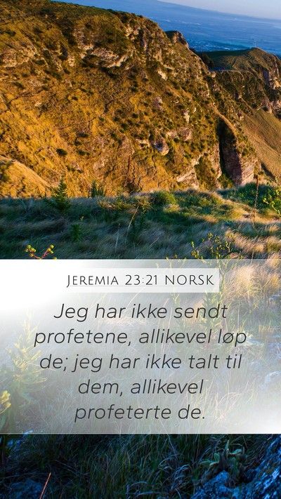 Jeremia 23:21 NORSK Bible Verse Image