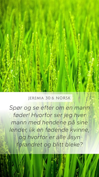 Jeremia 30:6 NORSK Bible Verse Image