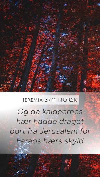 Jeremia 37:11 NORSK Bible Verse Image