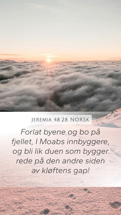 Jeremia 48:28 NORSK Bible Verse Image