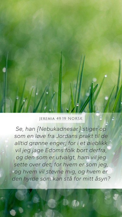 Jeremia 49:19 NORSK Bible Verse Image