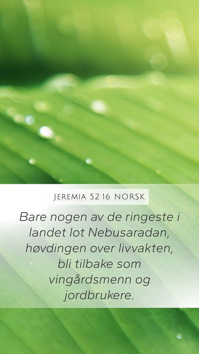 Jeremia 52:16 NORSK Mobile Phone Wallpaper - Bare nogen av de ringeste i landet lot - Mobile Bible Verse Wallpaper