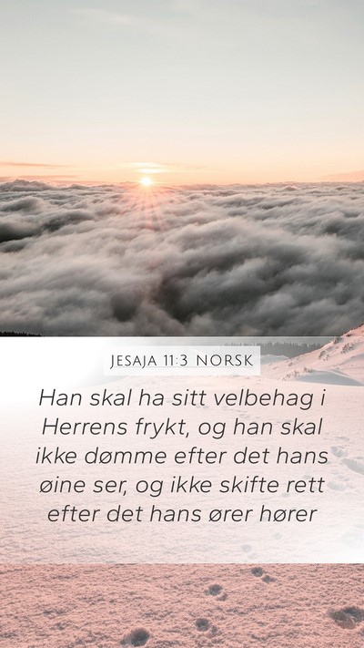 Jesaja 11:3 NORSK Bible Verse Image