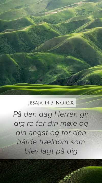 Jesaja 14:3 NORSK Bible Verse Image
