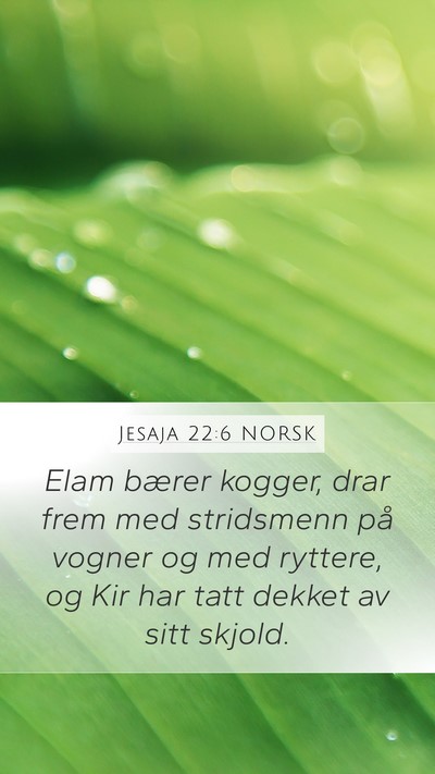 Jesaja 22:6 NORSK Bible Verse Image