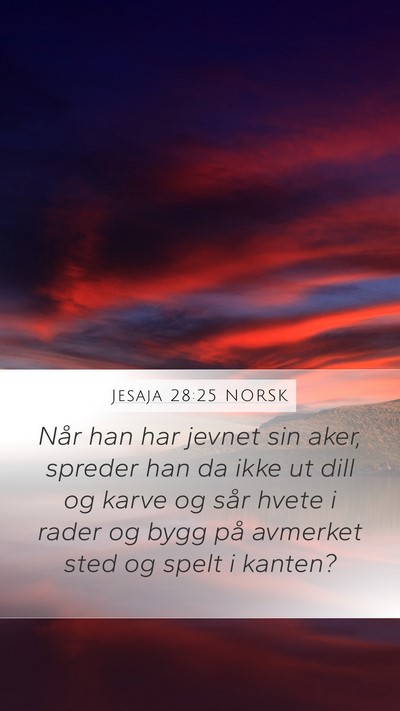Jesaja 28:25 NORSK Mobile Phone Wallpaper - Når han har jevnet sin aker, spreder han da ikke - Mobile Bible Verse Wallpaper