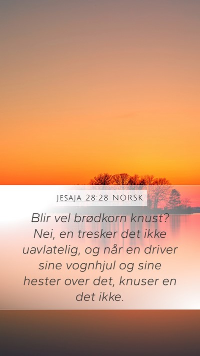 Jesaja 28:28 NORSK Mobile Phone Wallpaper - Blir vel brødkorn knust? Nei, en tresker det - Mobile Bible Verse Wallpaper