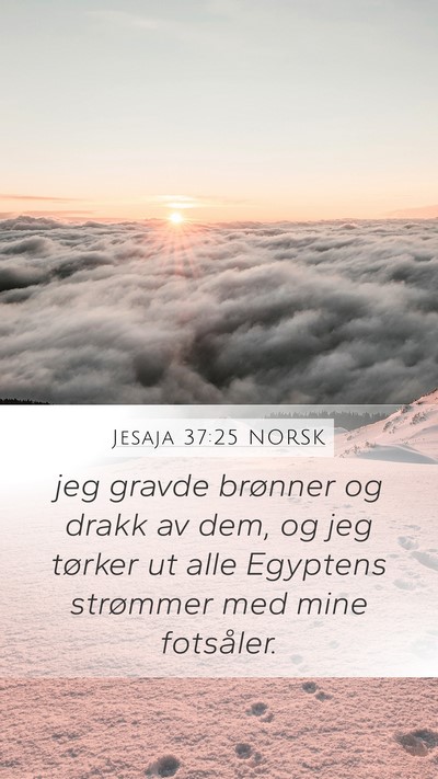 Jesaja 37:25 NORSK Bible Verse Image
