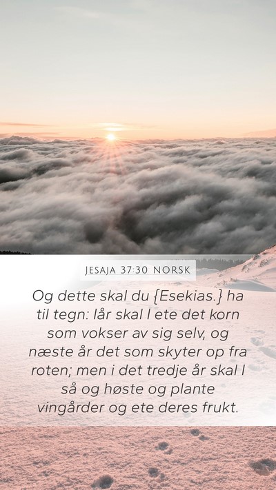 Jesaja 37:30 NORSK Bible Verse Image