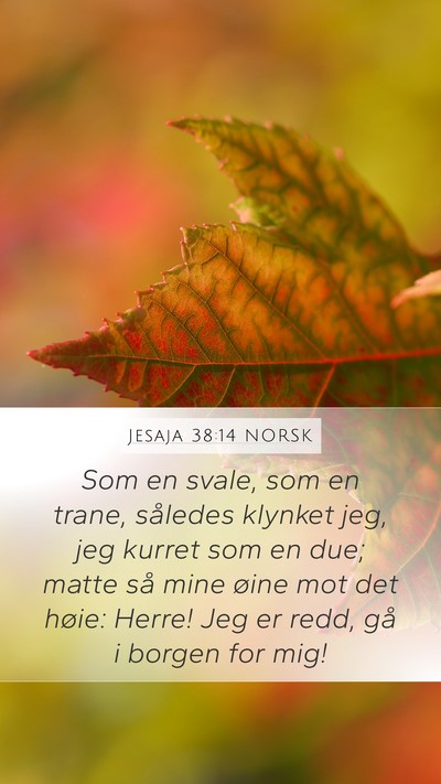 Jesaja 38:14 NORSK Bible Verse Image