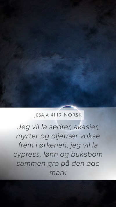 Jesaja 41:19 NORSK Bible Verse Image