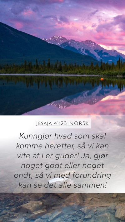 Jesaja 41:23 NORSK Mobile Phone Wallpaper - Kunngjør hvad som skal komme herefter, så vi - Mobile Bible Verse Wallpaper