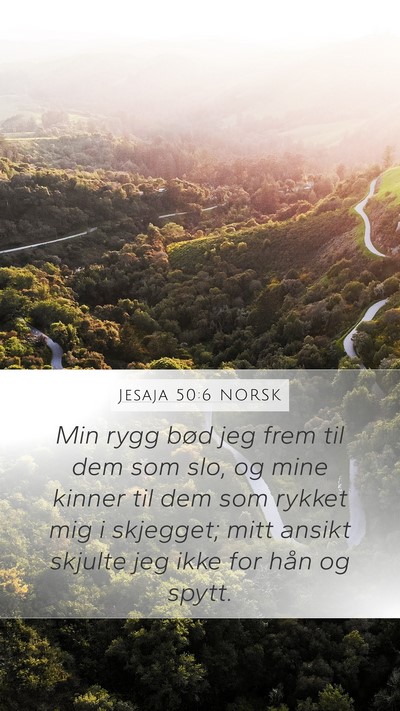 Jesaja 50:6 NORSK Bible Verse Image