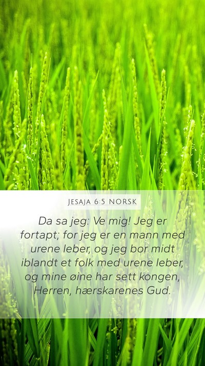 Jesaja 6:5 NORSK Bible Verse Image